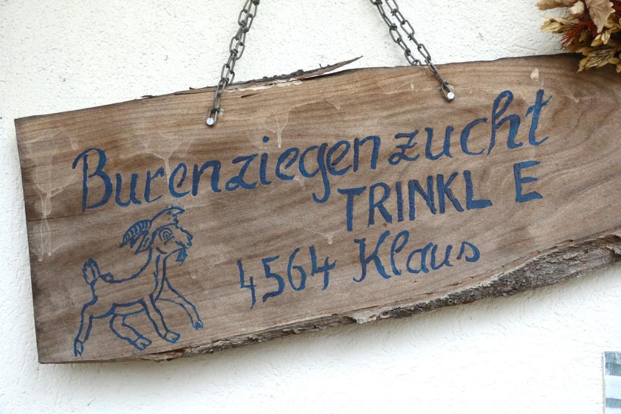 مبيت وإفطار Micheldorf in Oberösterreich Hof Zur Steinwaend المظهر الخارجي الصورة