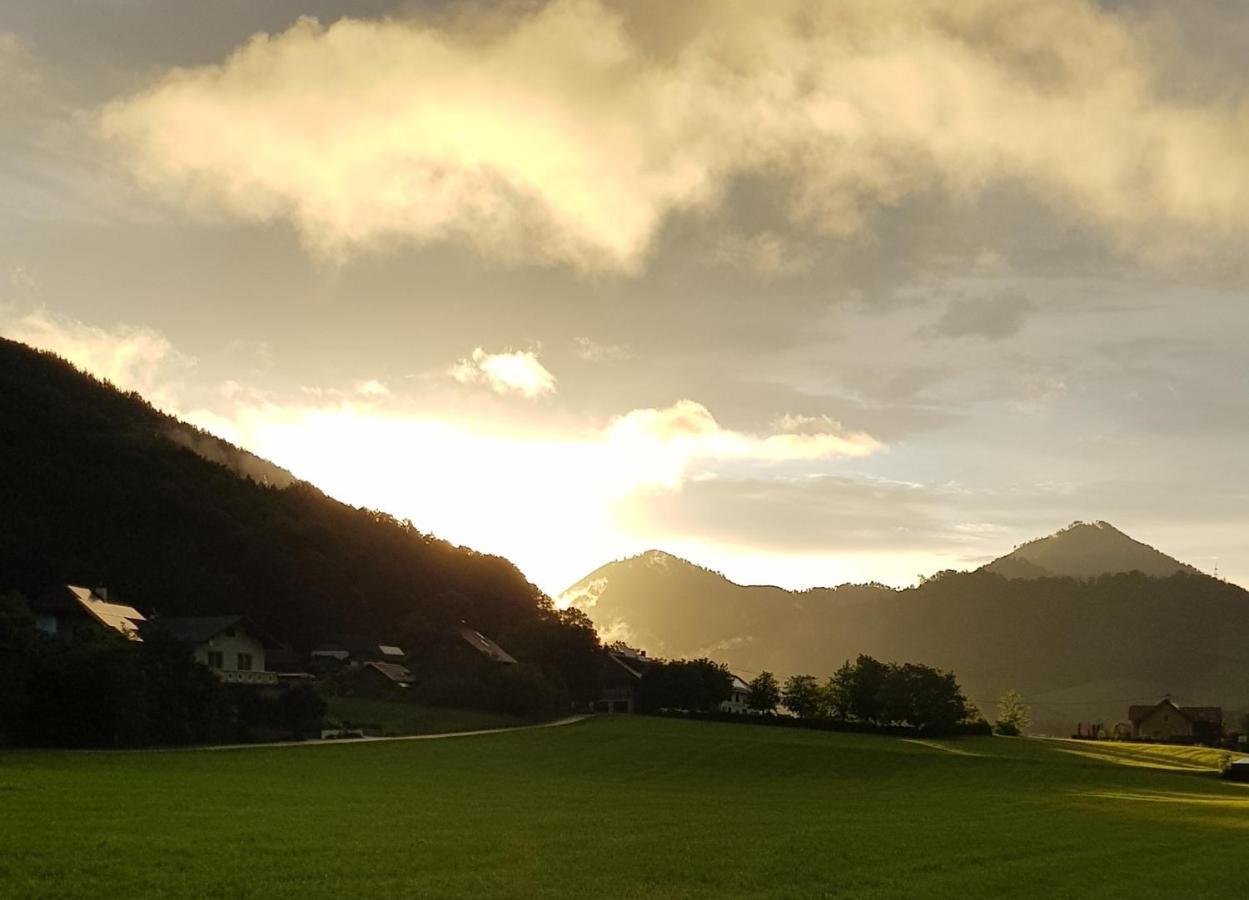 مبيت وإفطار Micheldorf in Oberösterreich Hof Zur Steinwaend المظهر الخارجي الصورة