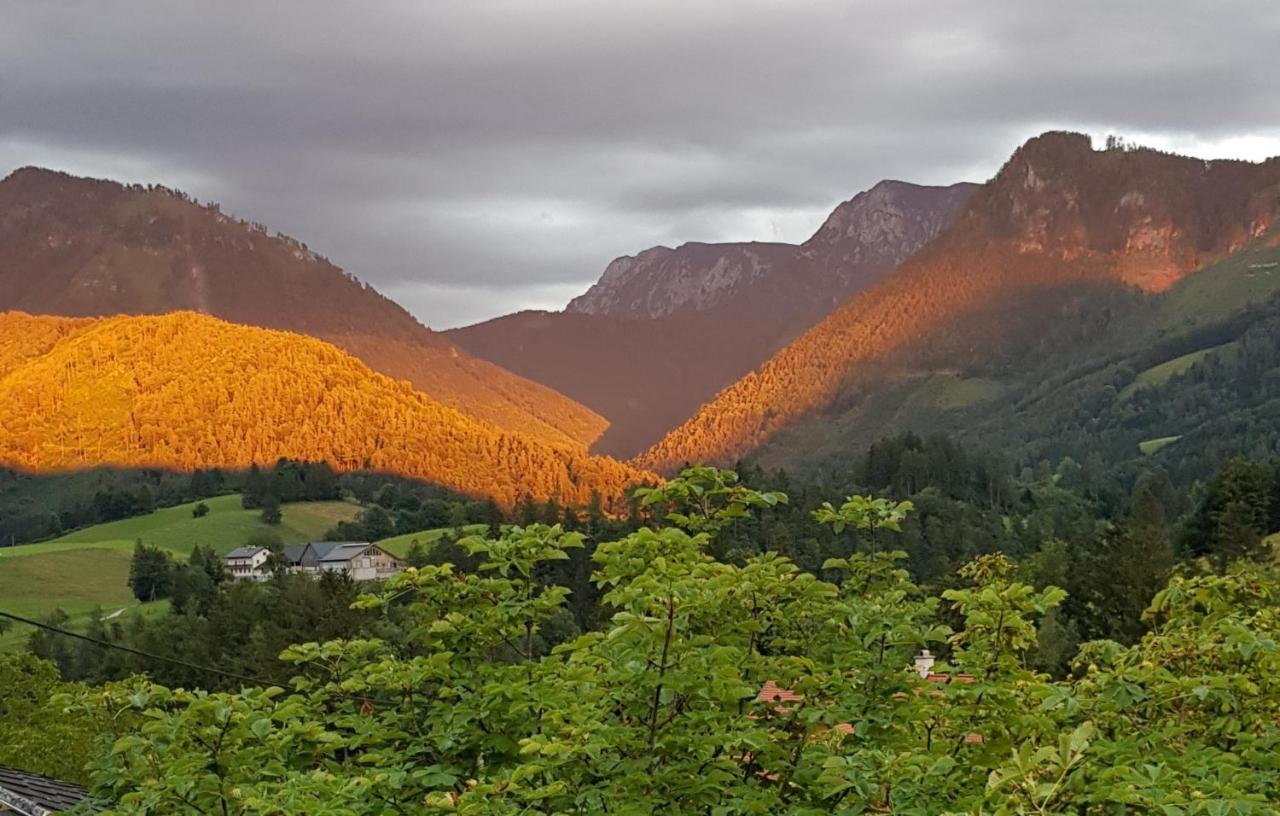 مبيت وإفطار Micheldorf in Oberösterreich Hof Zur Steinwaend المظهر الخارجي الصورة