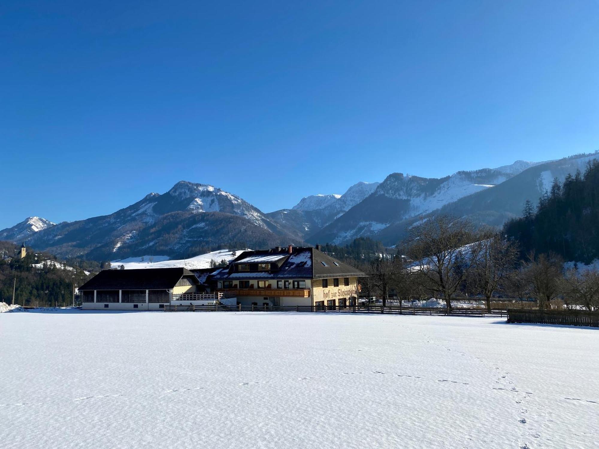 مبيت وإفطار Micheldorf in Oberösterreich Hof Zur Steinwaend المظهر الخارجي الصورة
